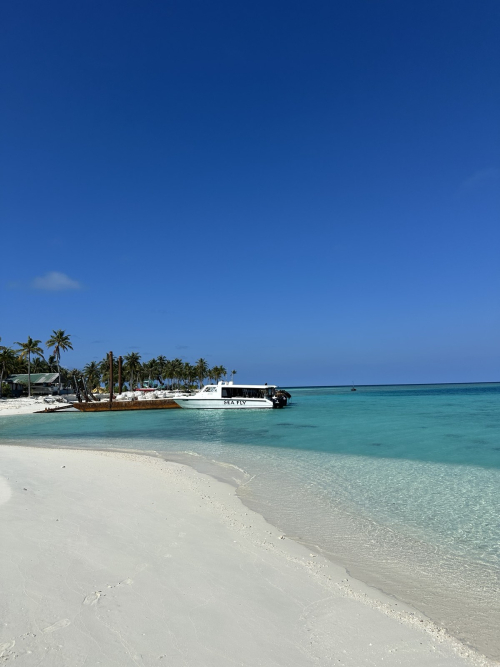 Beach Cleanup 2024 at Dhonfushi